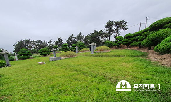 1544-3616 지금 전화주세요!